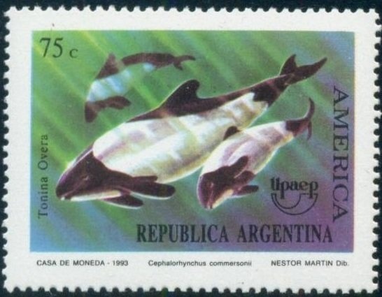 Les Euclaireurs Ligthhouse - Tierra del Fuego