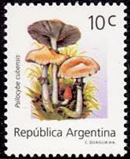 Centenary of High School Alejandro Carbó, Córdoba