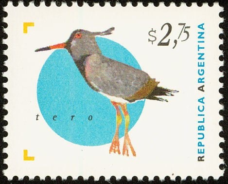 Plane over Iguacu Falls