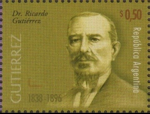 Los Cardones National Park - Guanaco (Lama guanicoe)