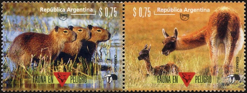 Centro Naval - 100 years