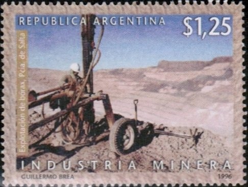 Lenga (Nothofagus pumilio)