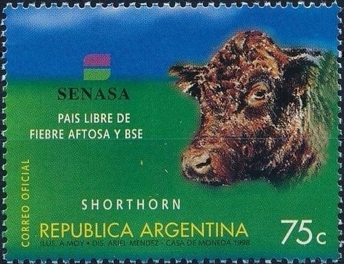 Mina Clavero, Cordoba - Label Missing Children Organisation