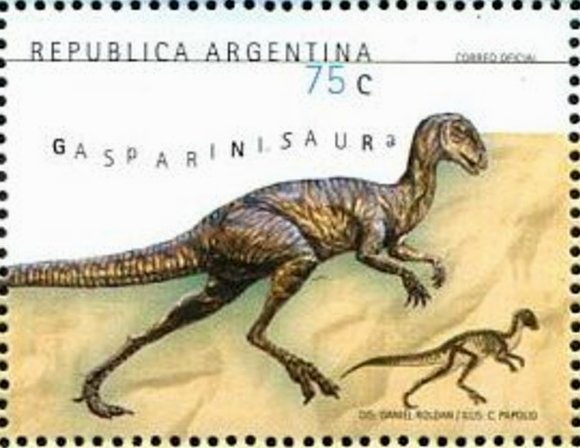 Tronador Mount, Rio Negro