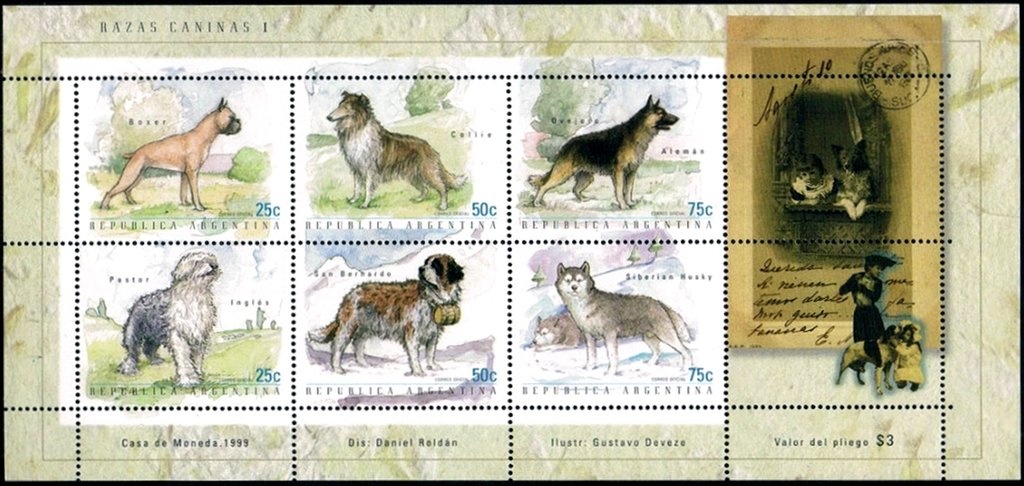 Bandera Argentina (Morpho epistrophus argentinus)