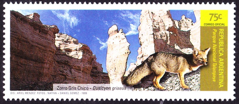 Mirco, La Vaca Aurora