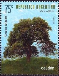 María Elena Walsh, Poet