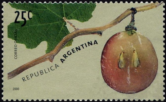 Policia Federal Argenntina - Drawing by Pablo Javier Quaglia