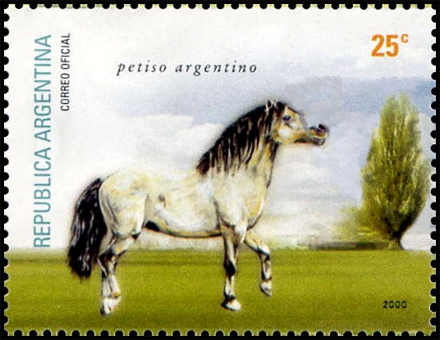 Boca Juniors - Football Fans