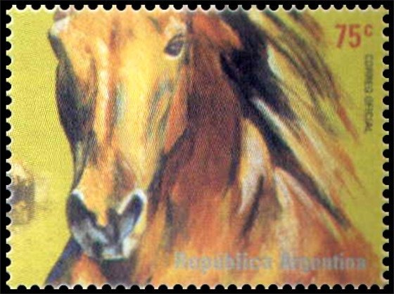 Lanin National Park, Neuquén