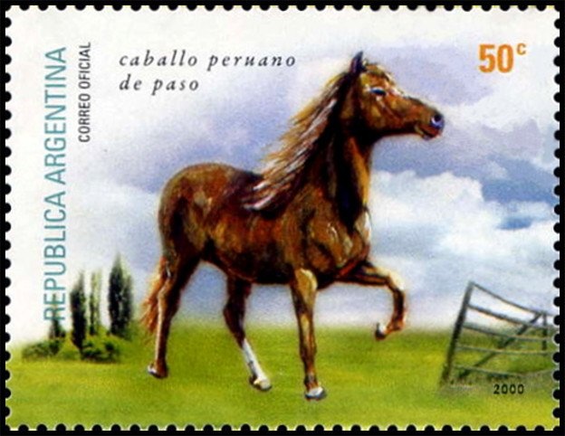 Yorkshire Terrier (Canis lupus familiaris)