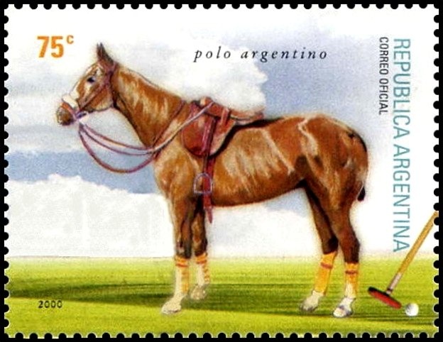 Champions of the 20th Century