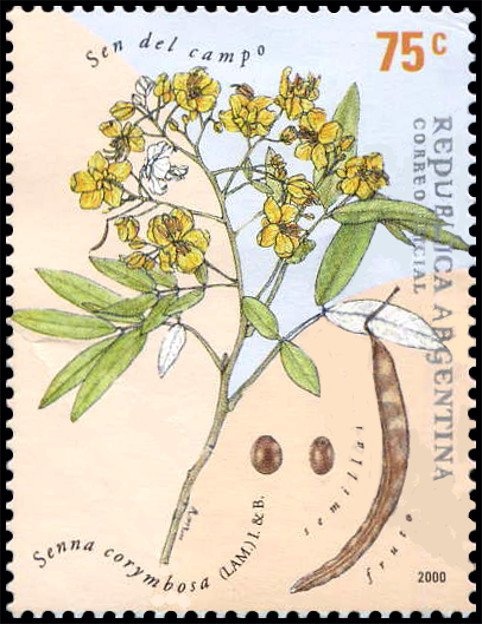 4th cent. of the town of Corrientes - Church of Santa Ana