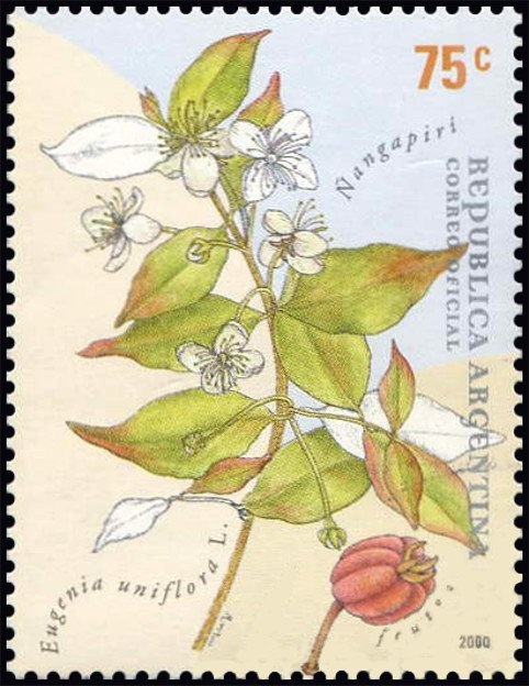 Children painting of WC USA '94