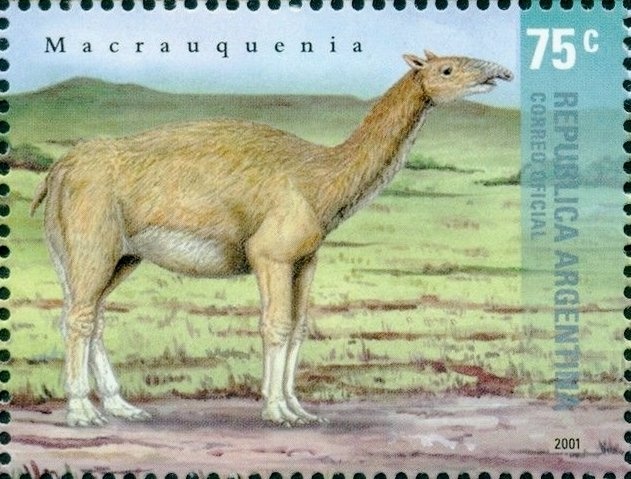 Josè Francisco de San Martin (1778-1850), ovpt. “M.G.”