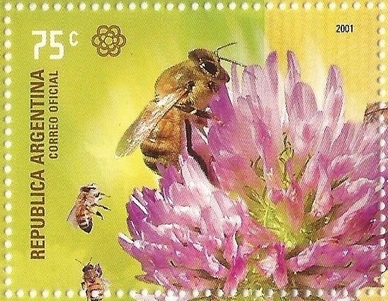 Juana Manuela Gorriti (1819-1892)