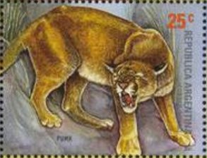 Centenary of First Airmail Flight in Argentina