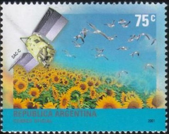 Boca Juniors - Football Fans