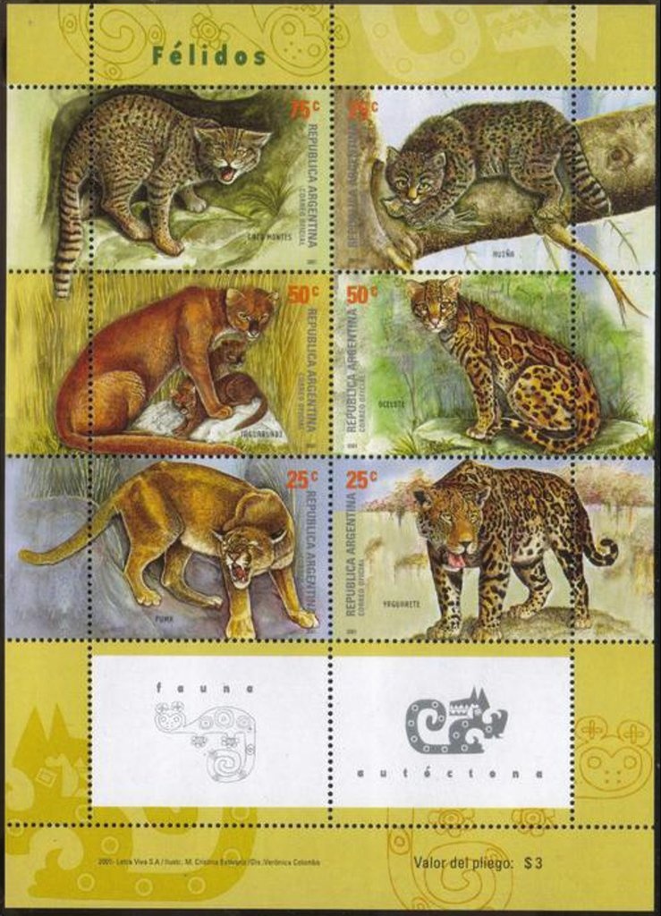 Doctor Néstor Carlos Kirchner