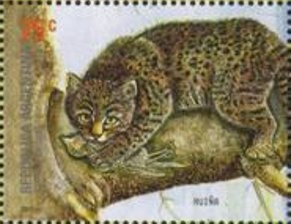 José Francisco de San Martín (1778-1850)