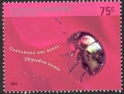 La Rioja, Valles de Famatina - Torrontés