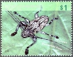 Catamarca - Vendimia - Syrah