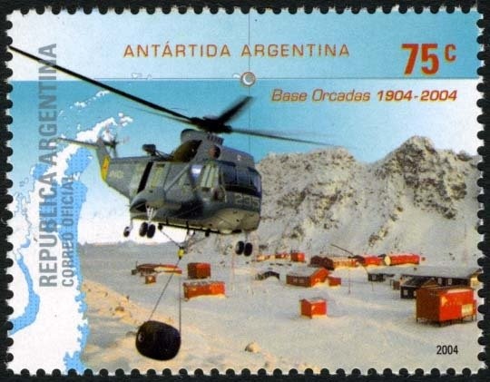 Siamese Cat (Felis silvestris catus)