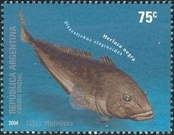 Policia Federal Argentina - Drawing by Carlos Alberto Saragó