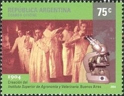 River Plate Stadium, Buenos Aires - Argentina Campeon