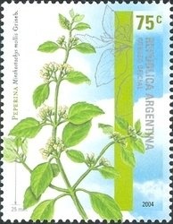 General Manuel Belgrano (1770-1820)