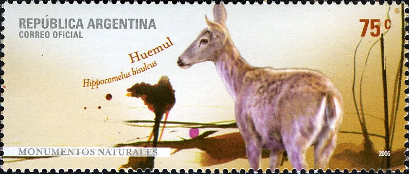 Laguna Blanca National Park