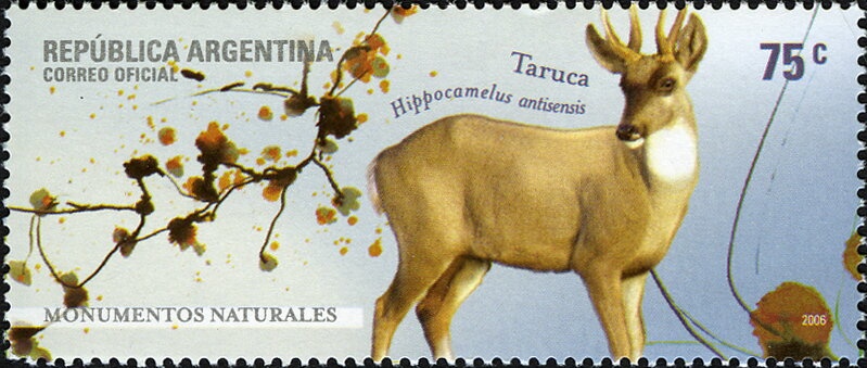 Year of the Rabbit 2023