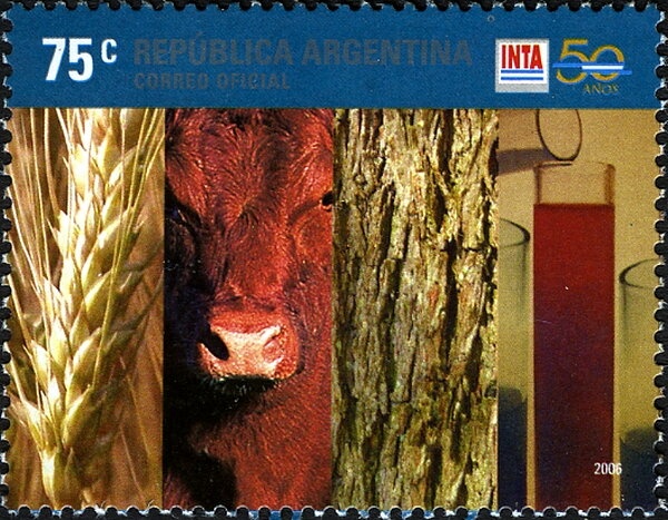 Open primary elections