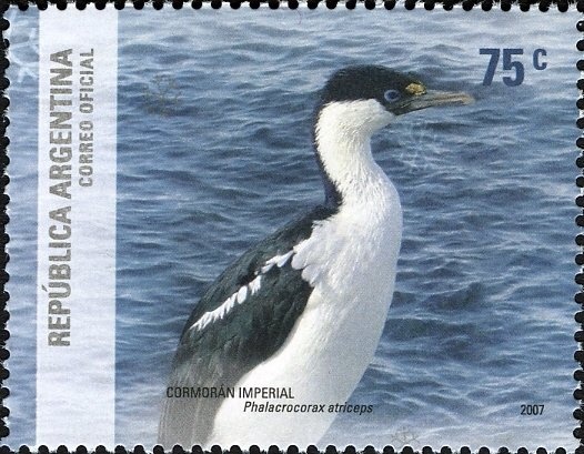 Open digital television