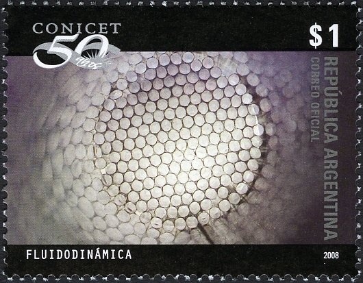 Belted Kingfisher (Megaceryle alcyon) (see Description)