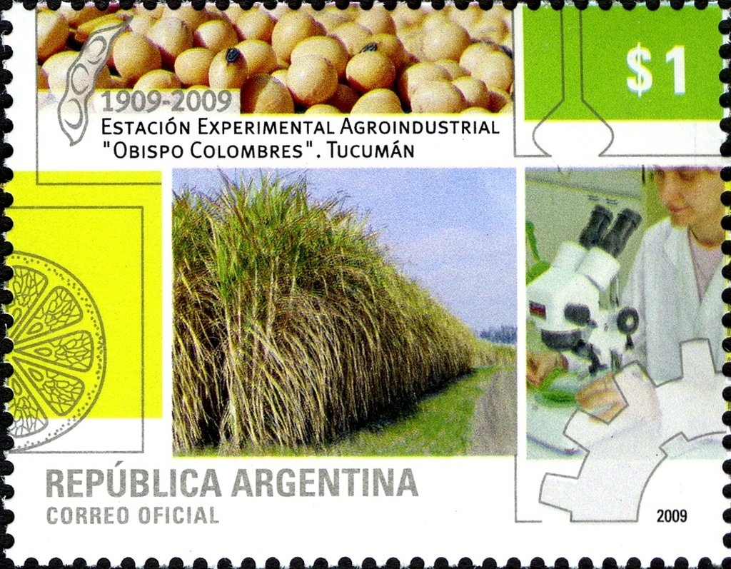 Postman 1920 - Inscriptions in gold