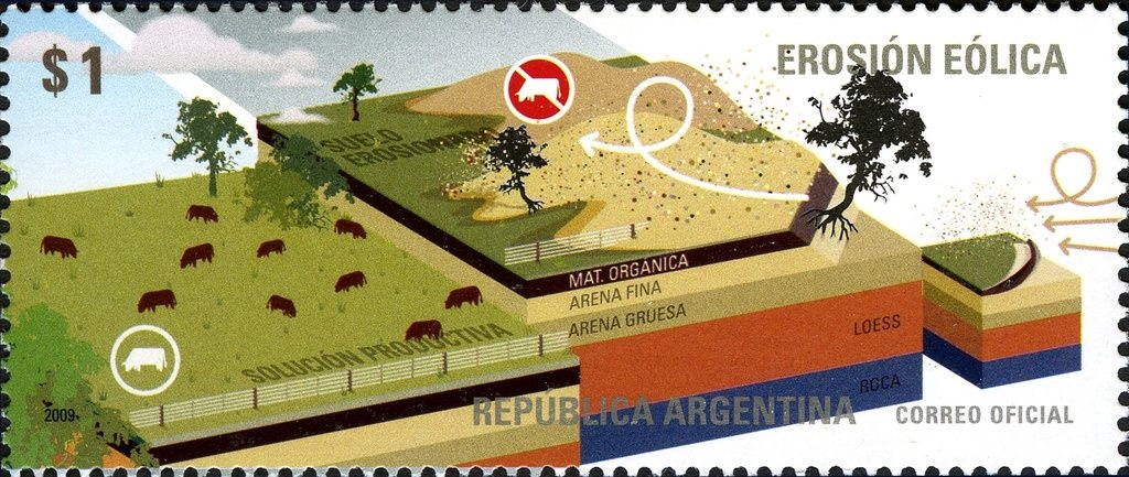 Light-mantled Albatross (Phoebetria palpebrata)