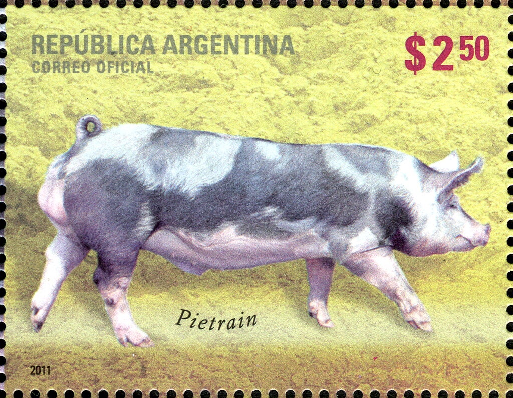 50 years of Forestry in Argentina