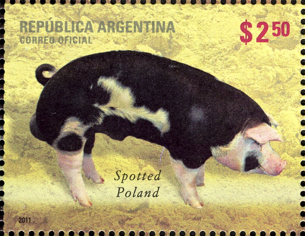 Luis Sandrini (1905-1980), Surcharged