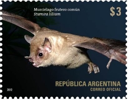 Wine Regions - Mendoza - Malbec