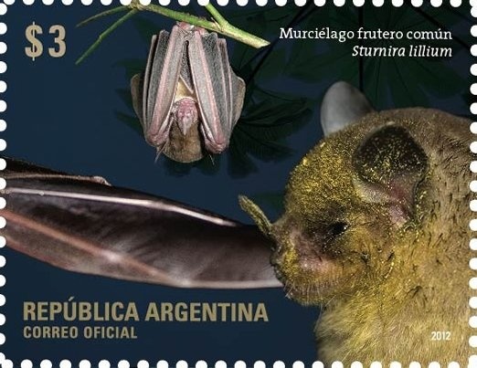 UP - Education. Universities Creation