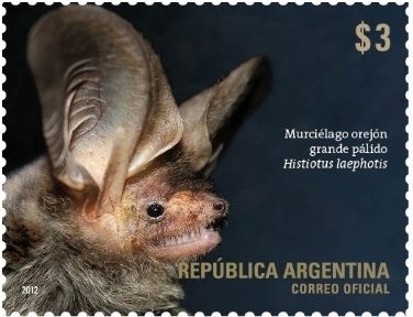 Draw an Ecostamp, by Julián A. Chiapparo