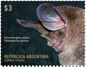 Public Television -  Football for Everyone