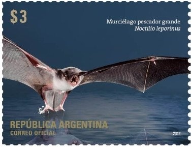 Arbrafex '92 - Gaucho with his Horse