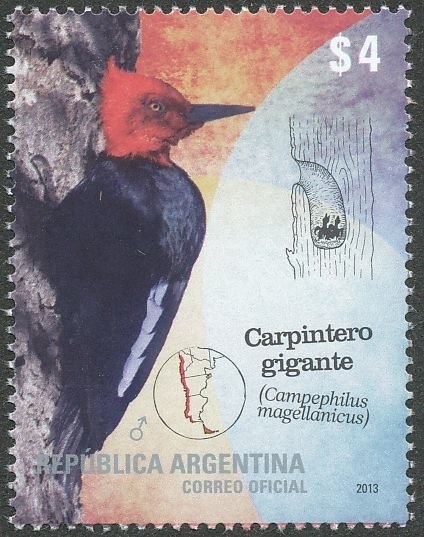 Red Quebracho - (Schinopsis balansae), ovpt.