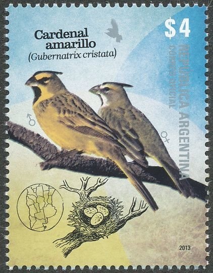 San Juan, Zonda Valley, red wine Syrah