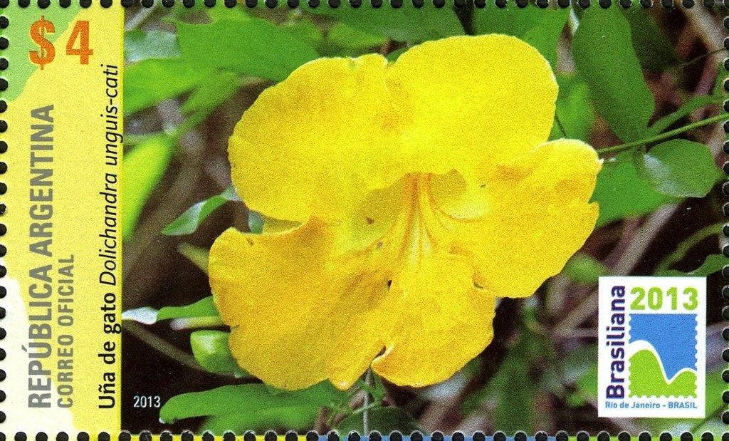 50th Anniversary of the Galileo Planetarium, Buenos Aires