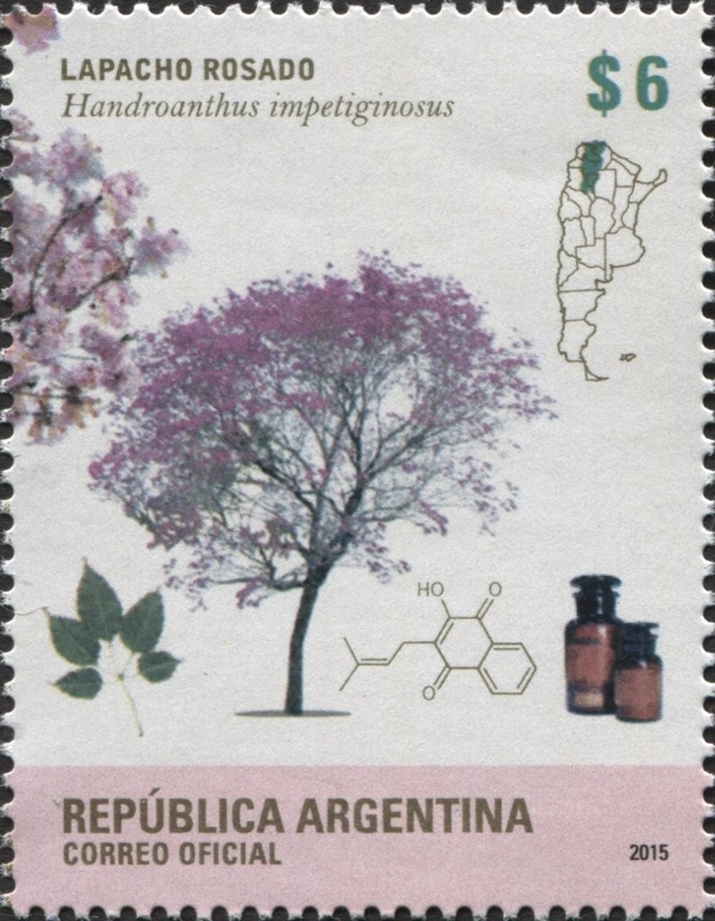 Peak of Literary Expression