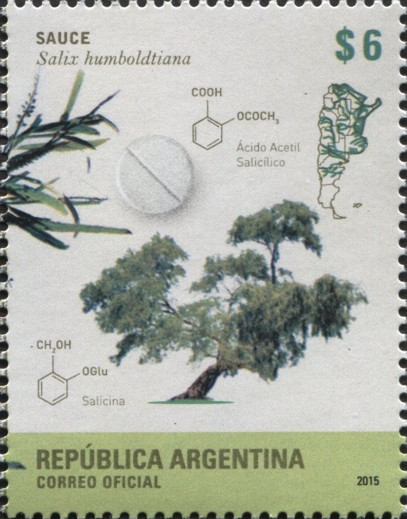 Bernardino Rivadavia (1780-1845)