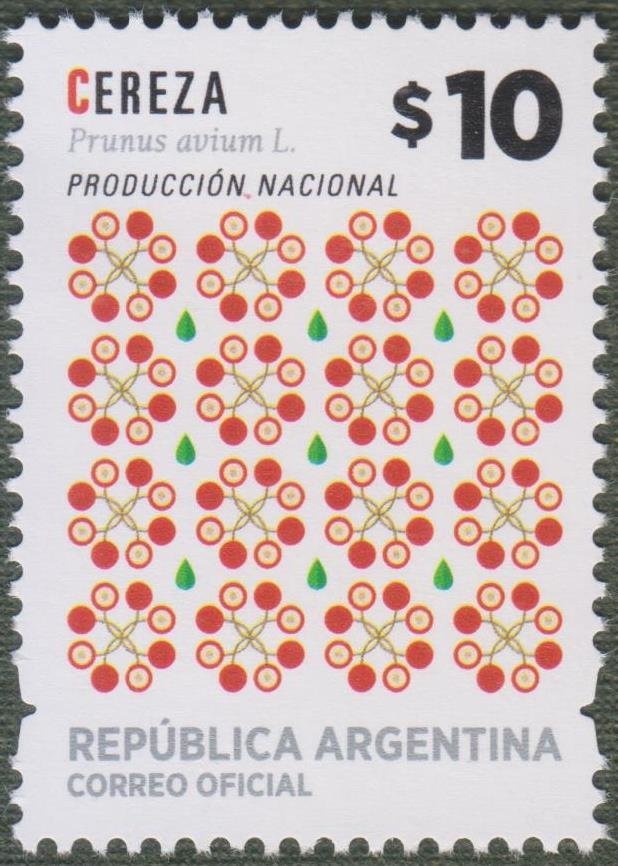 Gentoo Penguin (Pygoscelis papua)